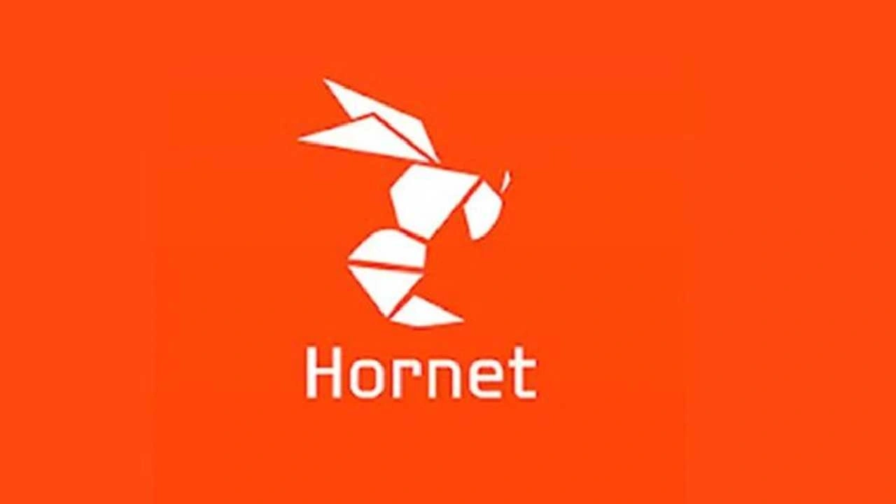 Son Dakika | "Hornet" isimli uygulamaya soruşturma