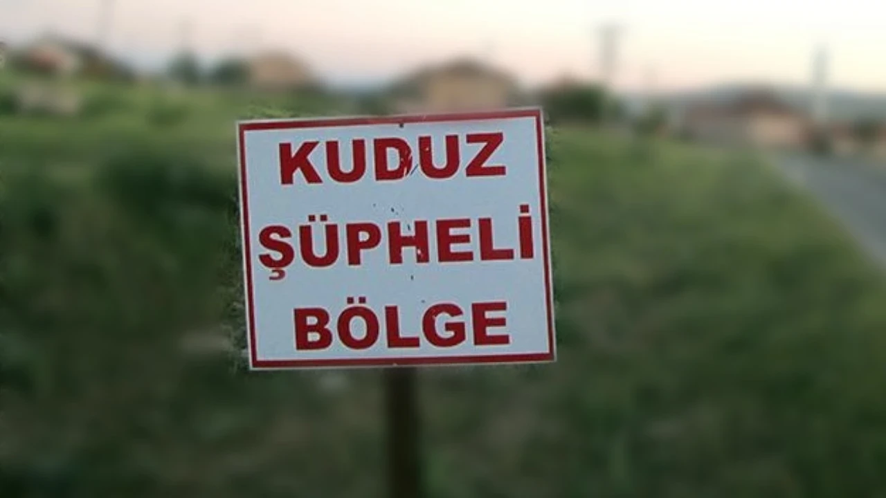 Kuduz alarmı: 7 mahalle karantinaya alındı