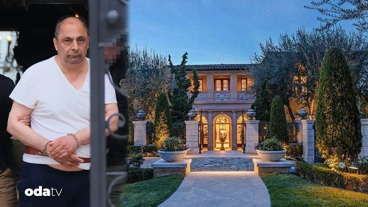 İranlı iş insanının milyon dolarlık malikanesine 'kaçakçılık' baskını