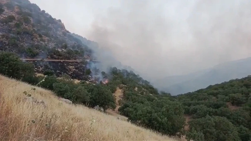 Mardin’deki örtü yangınları ekiplerin müdahalesiyle kontrol altına alındı