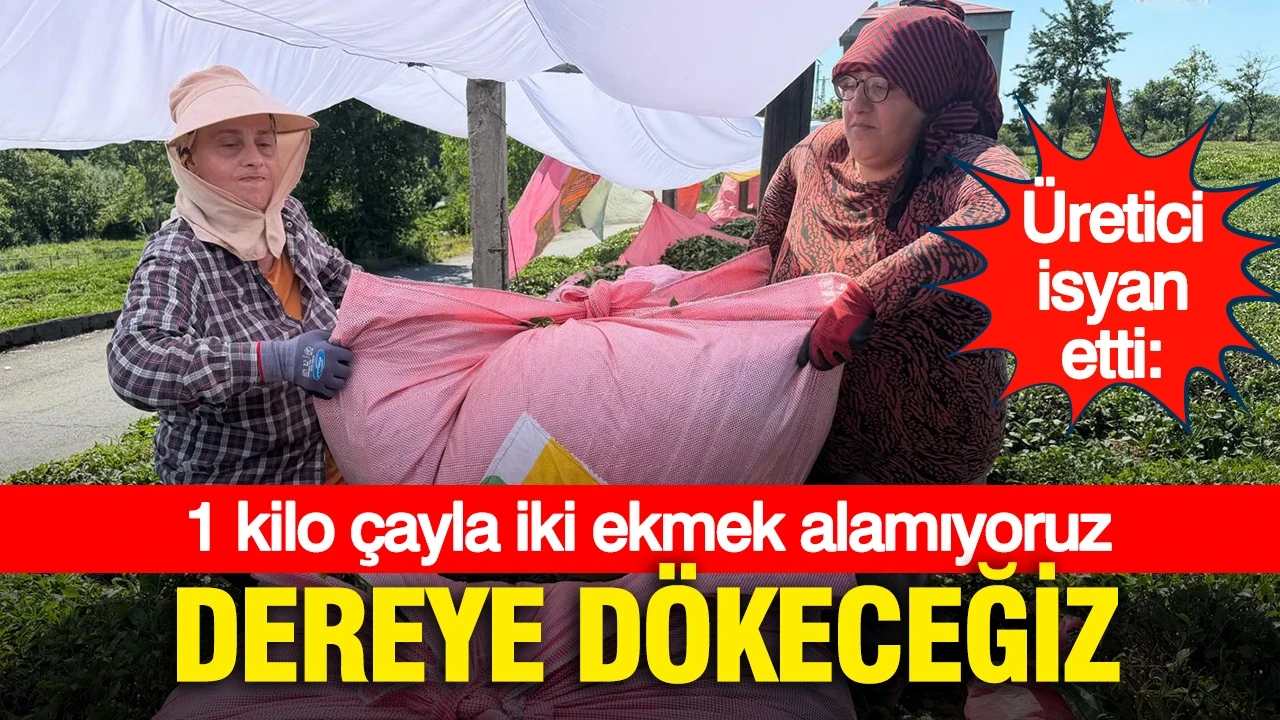 Rize’de çay üreticisi isyan etti: “1 kilo çayla 2 ekmek bile alamıyoruz, çayı dereye dökeceğiz”