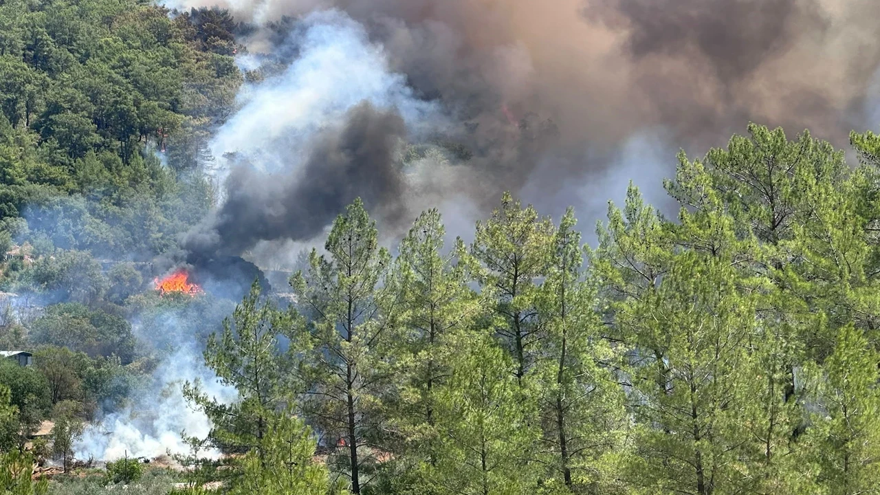 Muğla Fethiye'de Orman Yangını