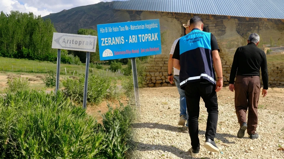 Van İpekyolu kuduz karantinası: Mahallede iki koyuna saldıran köpek pozitif çıktı | Gündem Haberleri