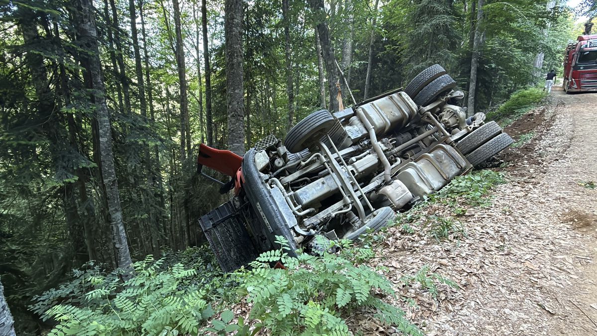 Orman yolunda devrilen TIR'ın sürücüsü yaralandı