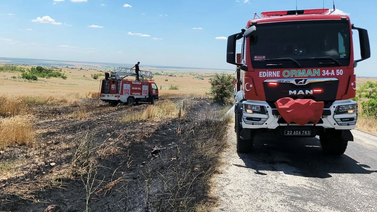 Süloğlu'nda tarla yangını: Buğday ekili alan zarar gördü