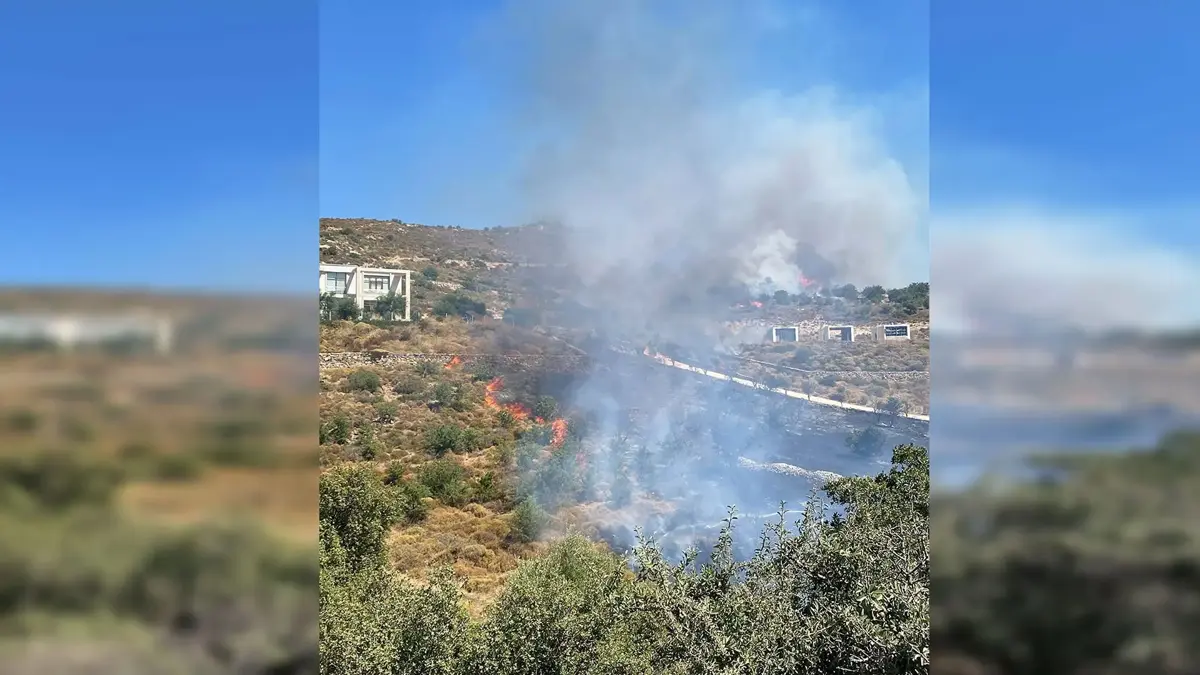 Bodrum'da makilik alanda yangın