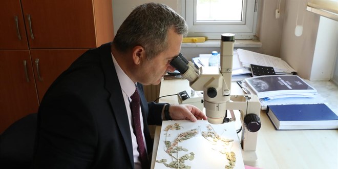Anadolu'nun bitki zenginliği geleceğe taşınıyor
