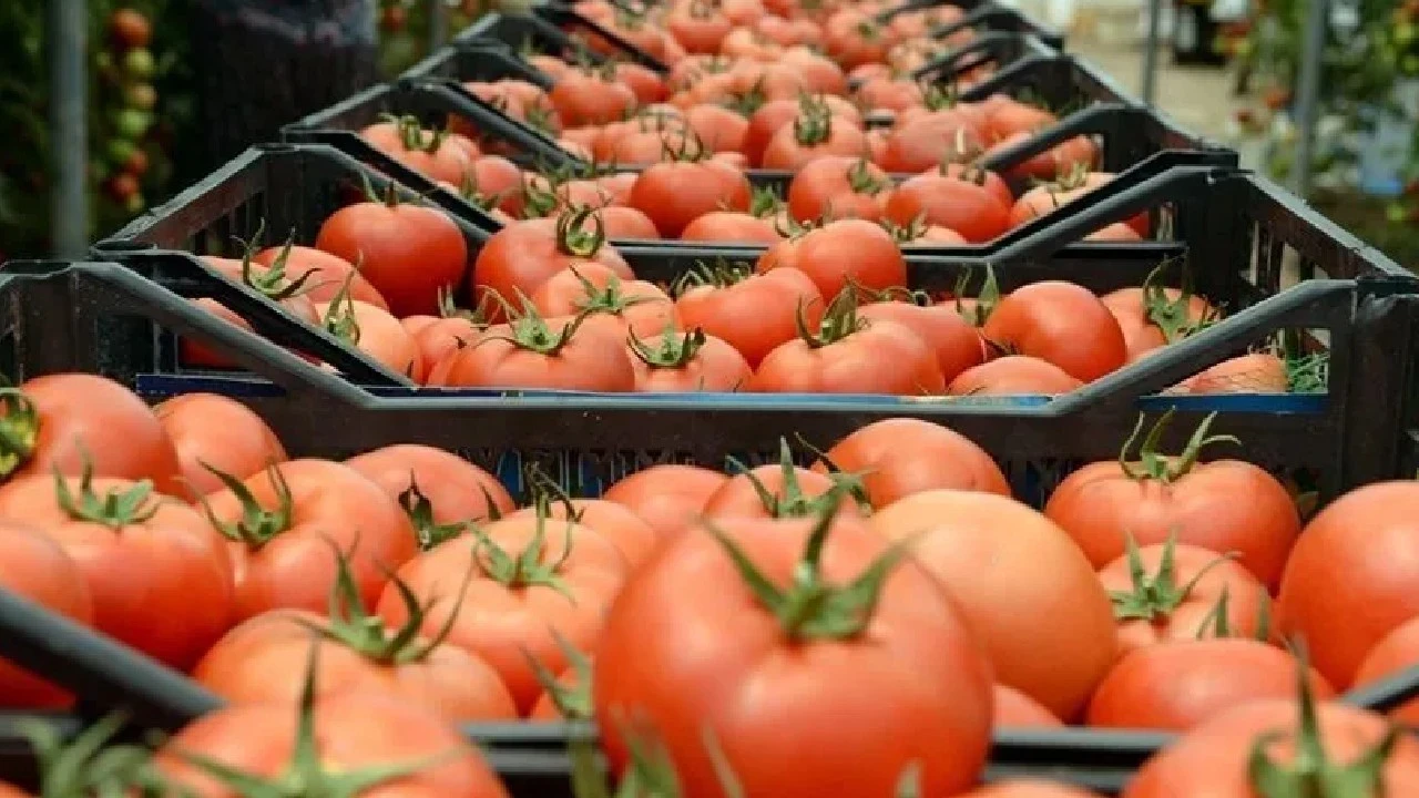 Çin domatesi tartışma yarattı: Etiket başka, içerik başka