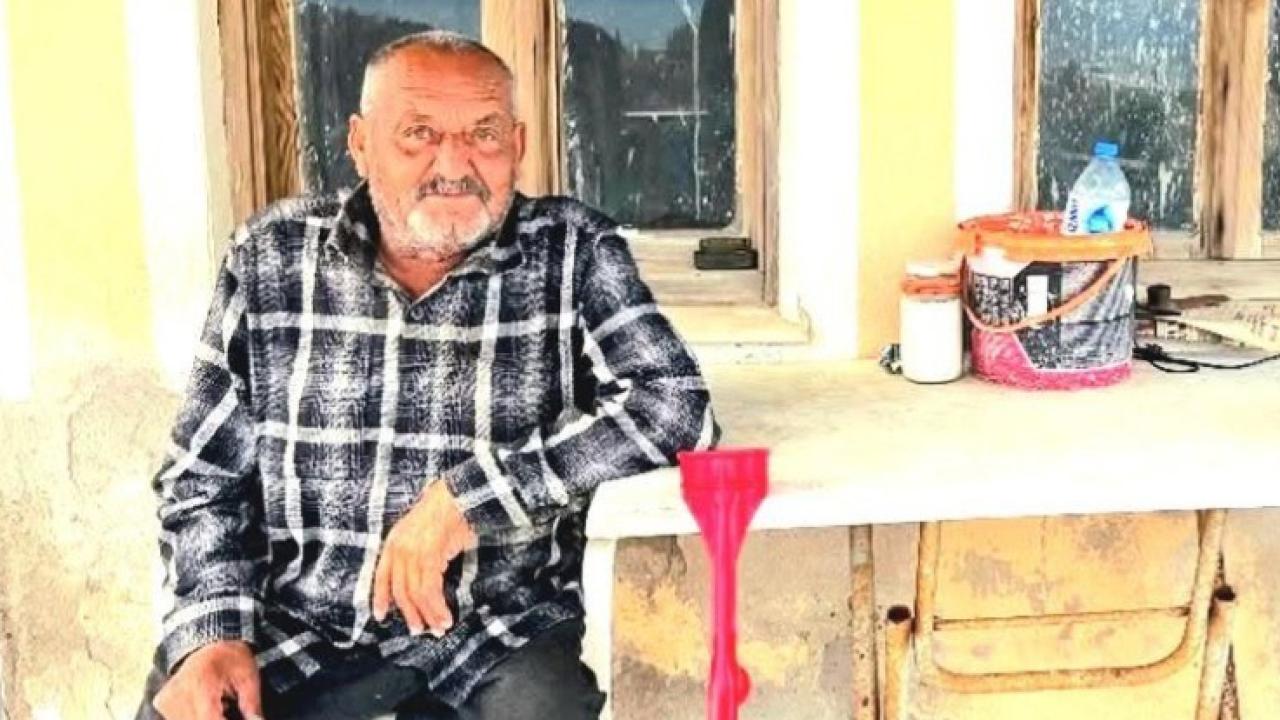 İzmir'de ayının saldırısına uğrayan kişi öldü