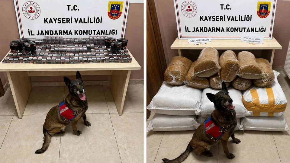Jandarmadan baskın! 200 kilo kaçak tütün ve yüzlerce paket sigara ele geçirildi