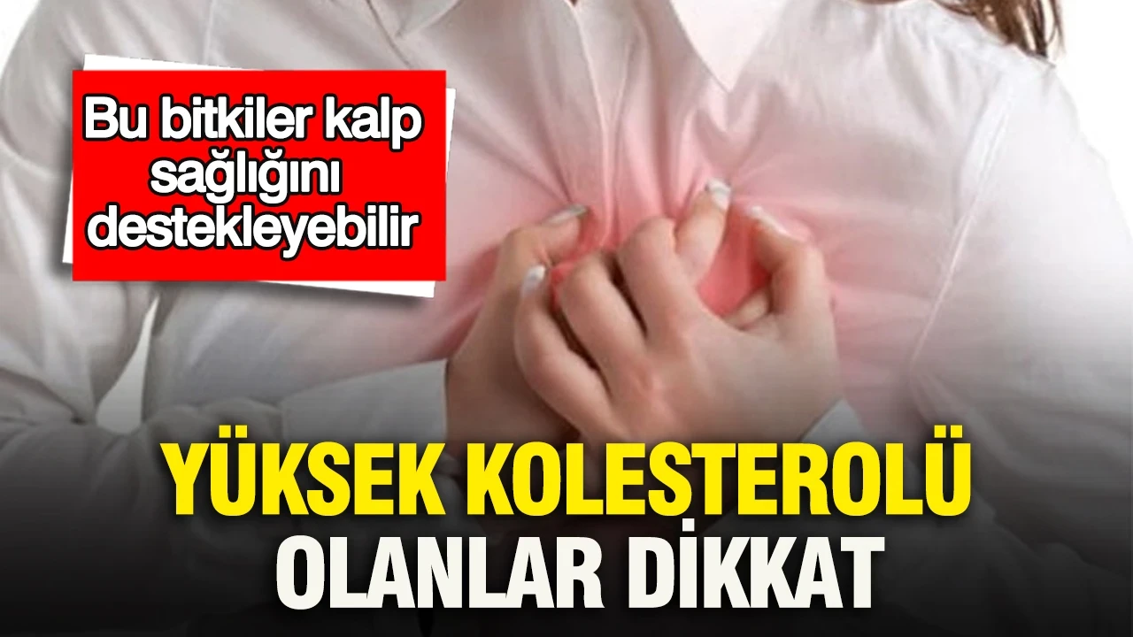Yüksek kolesterolü olanlar dikkat: Bu bitkiler kalp sağlığını destekleyebilir