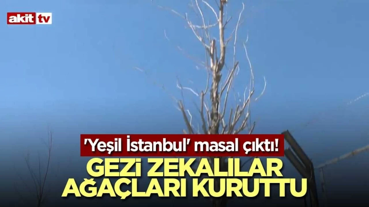 'Yeşil İstanbul' masal çıktı! Gezi zekalılar ağaçları kuruttu