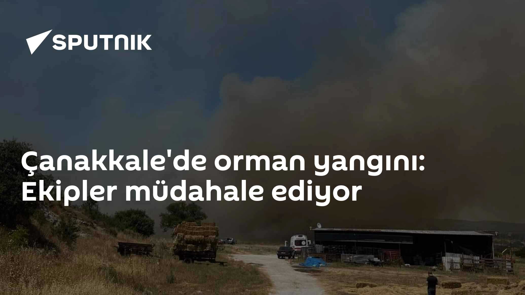 Çanakkale'de orman yangını: Ekipler müdahale ediyor