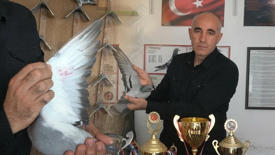 Ermenistan sınırından bırakılmıştı: Bir günde bin kilometre yol gitti... Akdeniz Bölgesi'nde birinci oldu | OSMANİYE YEREL HABERLERİ