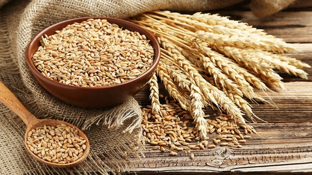 Tahıl piyasasında yeni fırtına