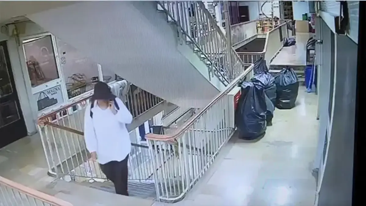 Valizle geldi, 51 kilo altınla çıktı! 170 milyonluk soygunda banyo dolabı sırrı