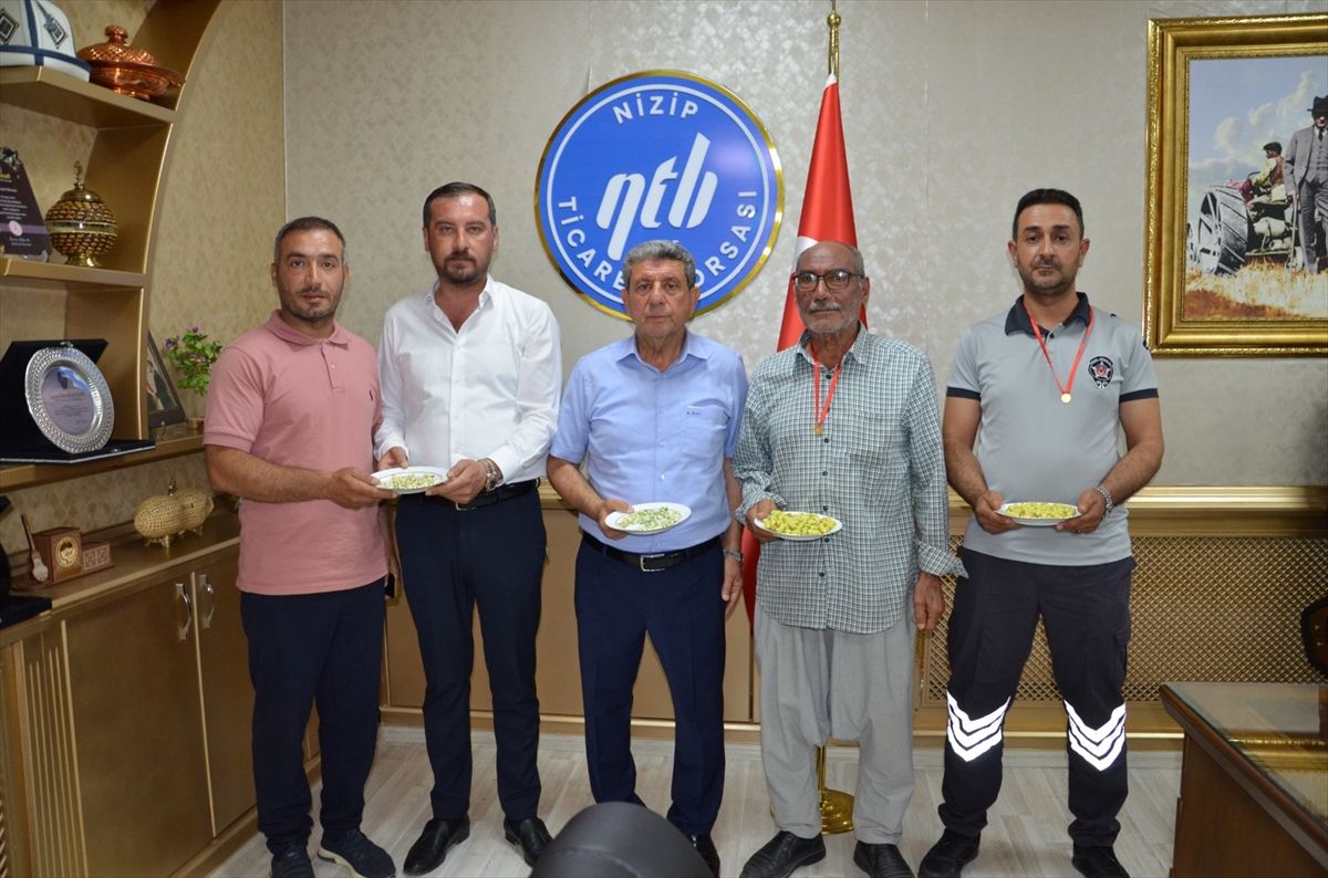 Yılın ilk boz Antep fıstığı üreticileri altınla ödüllendirildi