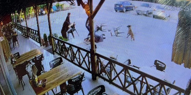 Afyon'da, dinleme tesisindeki köpek kadının kolunu kopardı