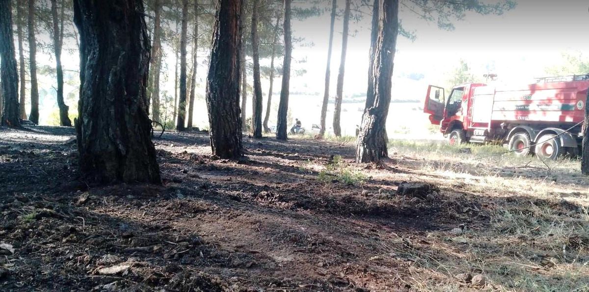 Tavşanlı'da erken müdahale ormanı kurtardı