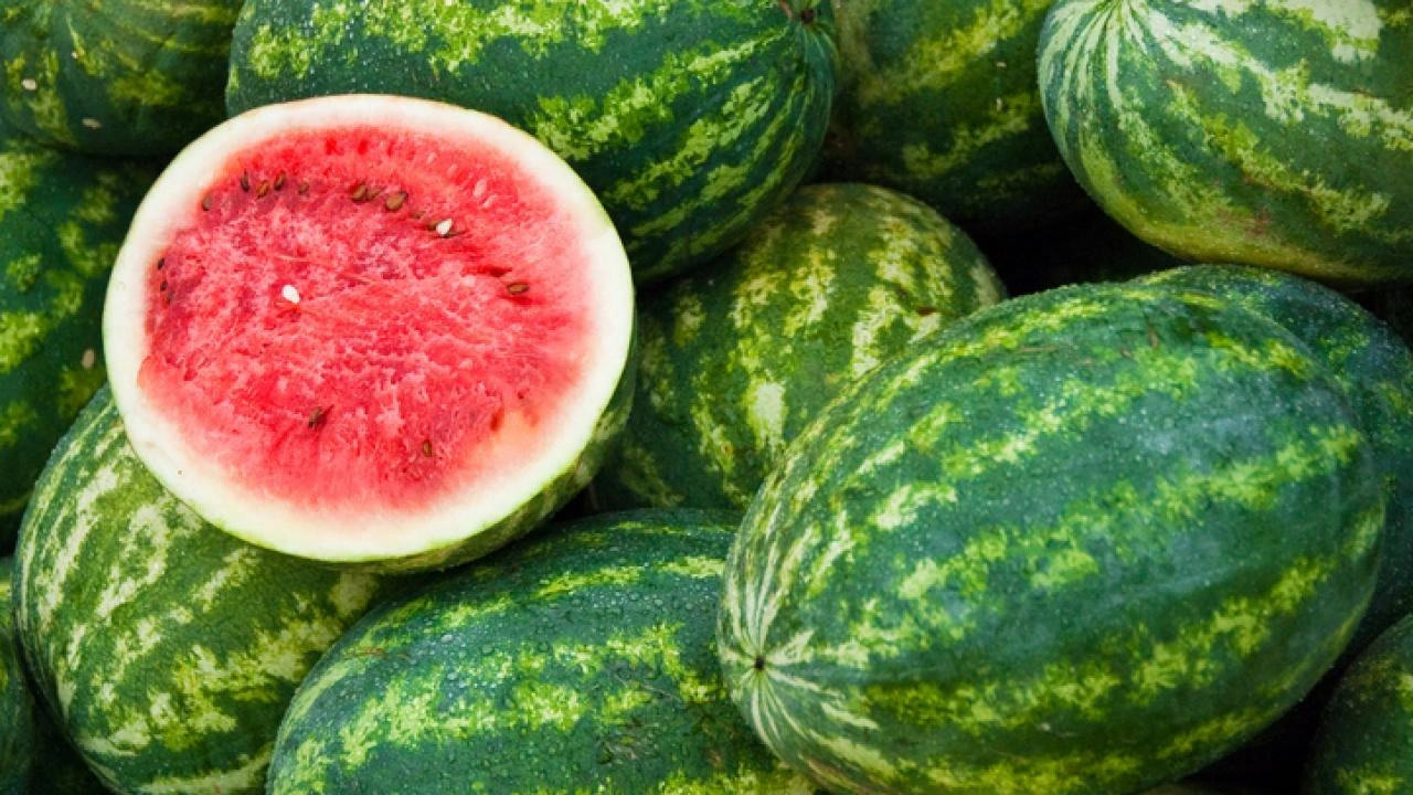Aynı alışveriş Türkiye'de daha pahalı: Karpouzi 15 TL karpuz 25 TL!