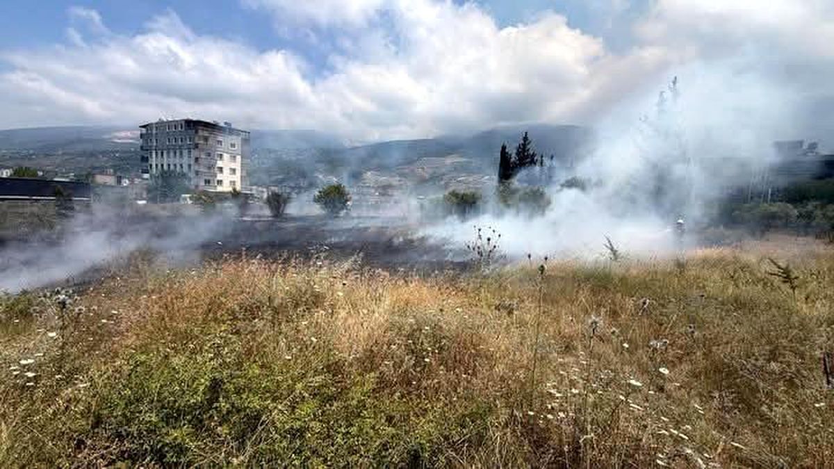 İskenderun'da otluk alan yangını