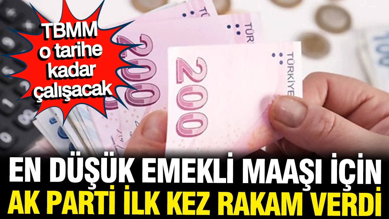AK Parti en düşük emekli maaşı zammı için rakam verdi: Temmuz'da TBMM onlar için çalışacak