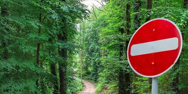 Bursa'da ormanlık alanlara giriş 15 Ekim'e kadar yasaklandı