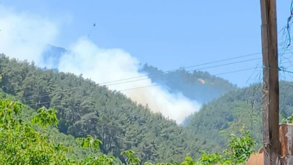 Manisa Soma orman yangını: Ekipler havadan ve karadan müdahale ediyor