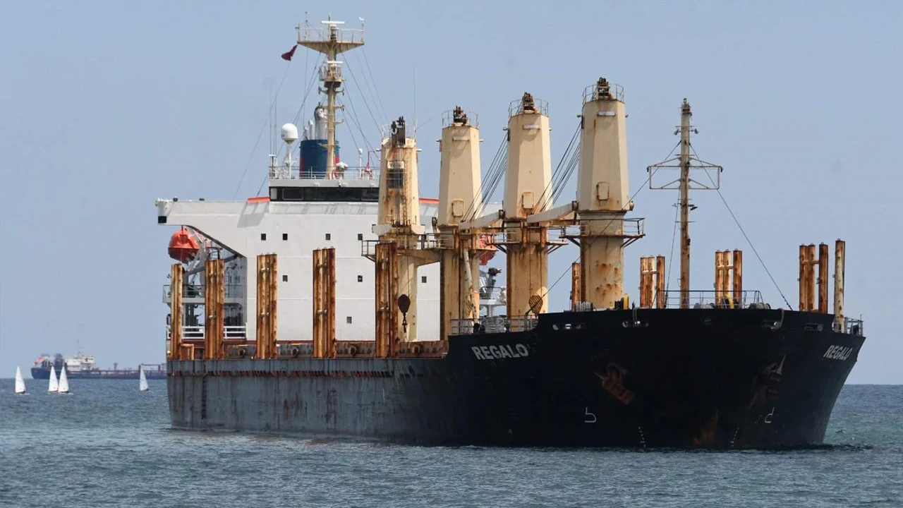 Marmara’da dev gemi karaya oturdu: Kaptanın kararı şaşırttı