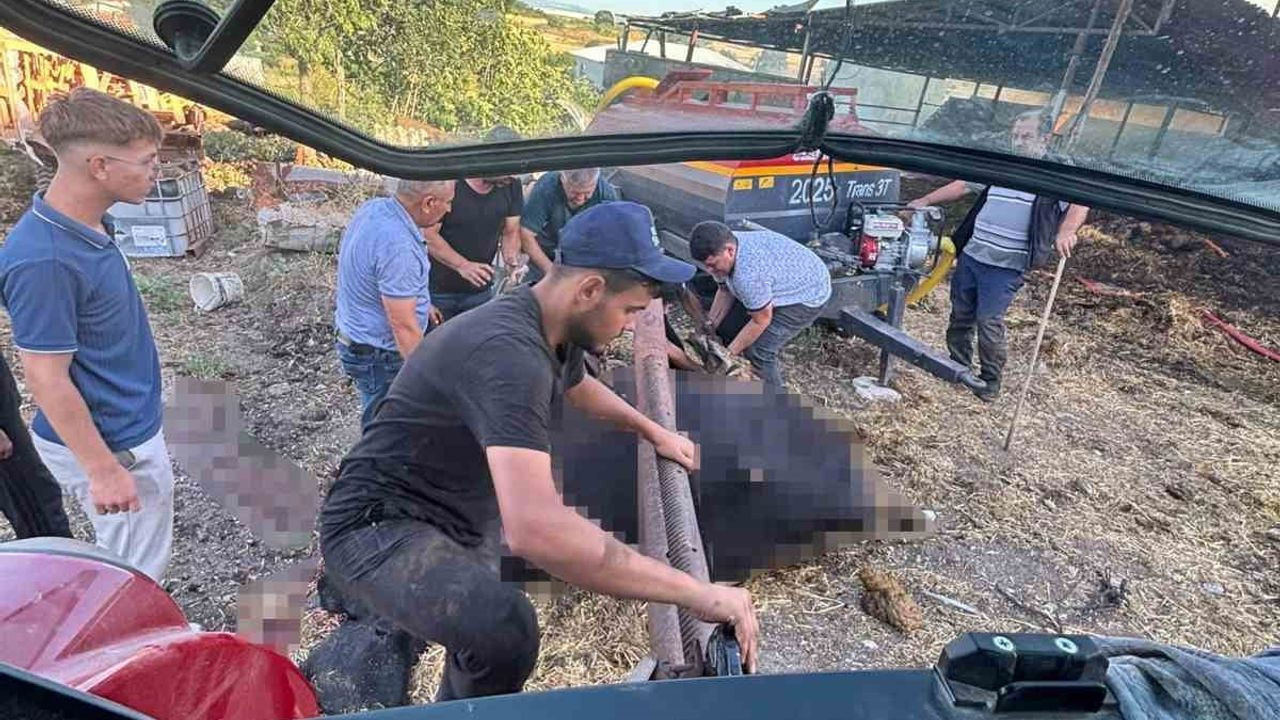 Bursa’da yangın: 4 büyükbaş hayvan telef oldu