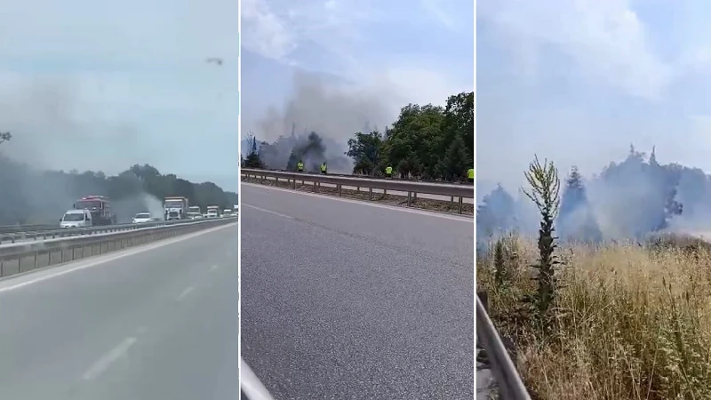 İzmir-Bursa kara yolunda alevler korkuttu