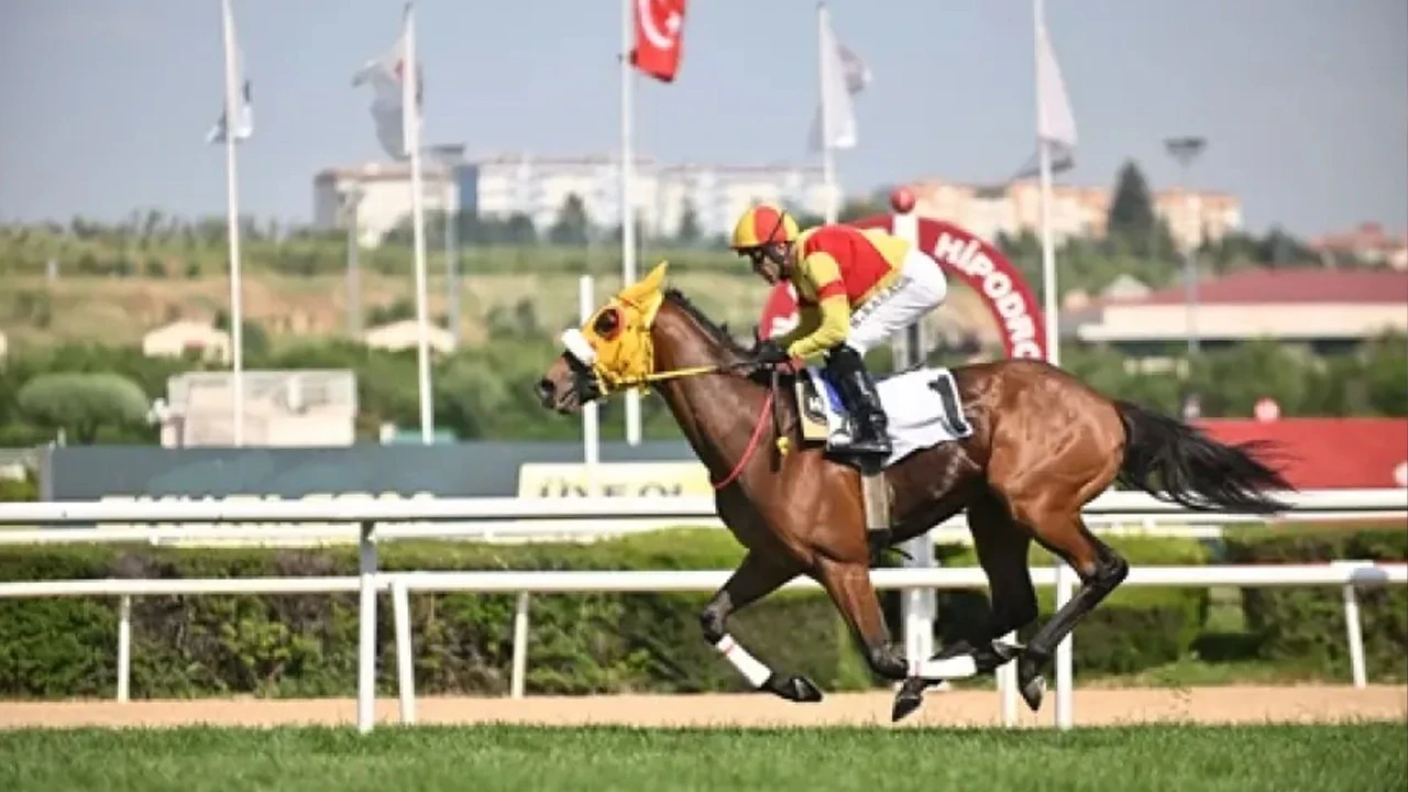 SON DAKİKA| 100. Gazi Koşusu'nun kazananı Bay Nalçakan oldu