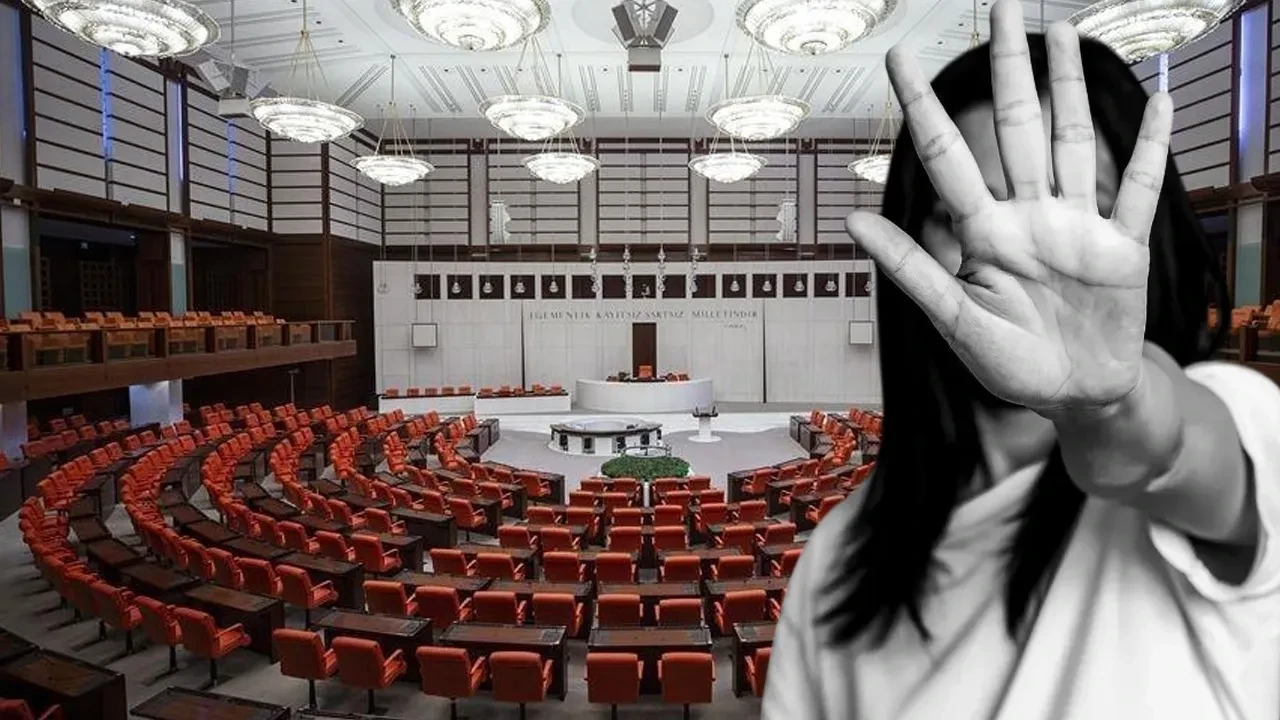 Meclis'te öğrencilere taciz davasında karar çıktı