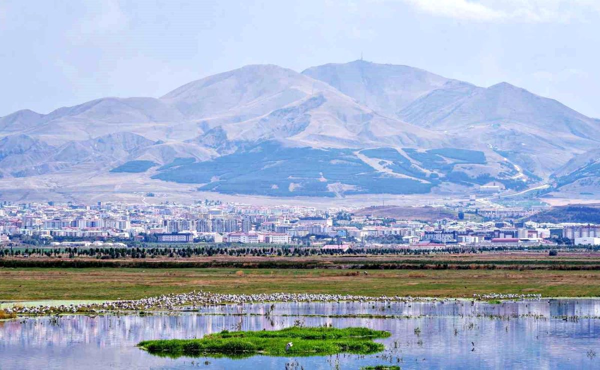 Amerika'nın Erzurum mesaisi: Yüzyıllık belge gün yüzüne çıktı