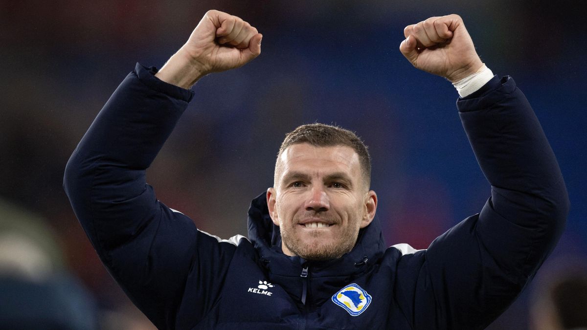 Bosnalı forvet Dzeko, Dünya Kupası'nın 40'lar kulübünde