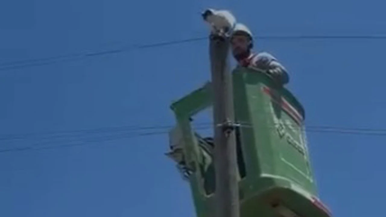 Elektrik direğinde mahsur kaldı! Yaramaz kedi ekipleri seferber etti