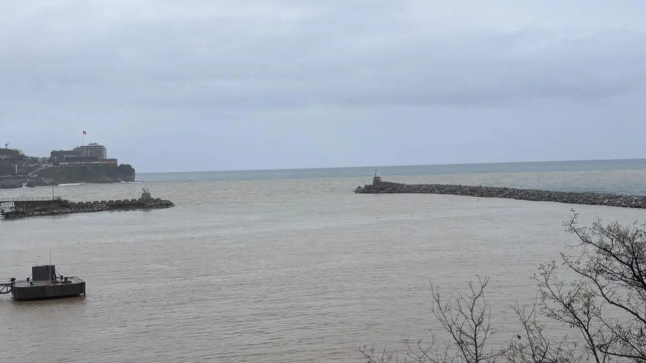 Karadeniz'de tehlike: Bir kentte denize girmek yasaklandı