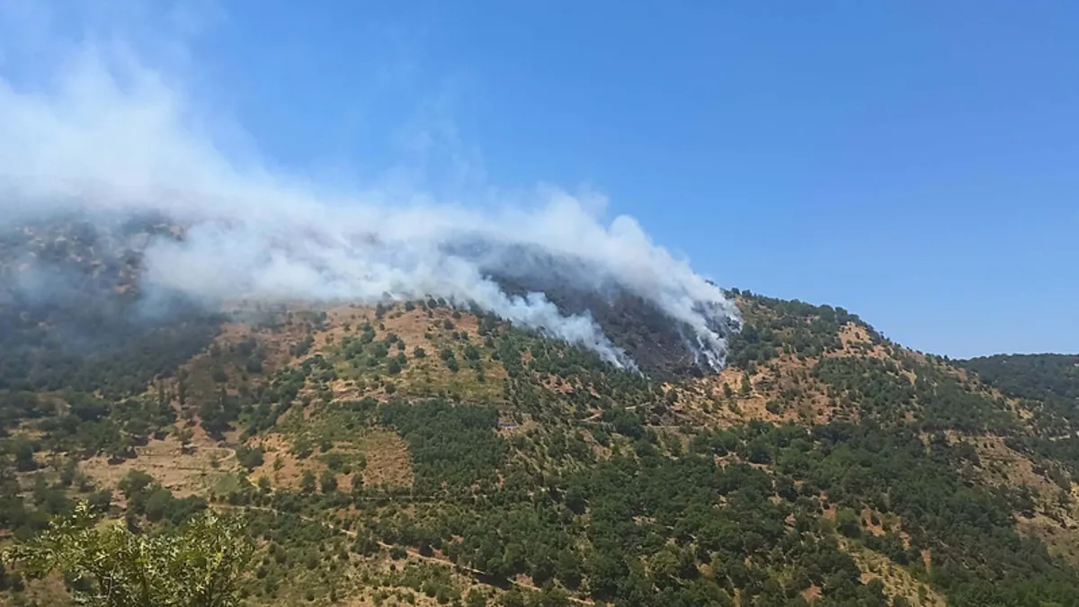 Aydın'dan kötü haber: 10 dönümlük arazi alevlere teslim oldu