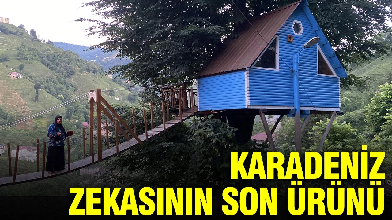 Karadeniz Zekasının son ürünü: Uçuruma karşı asma köprülü bungalov