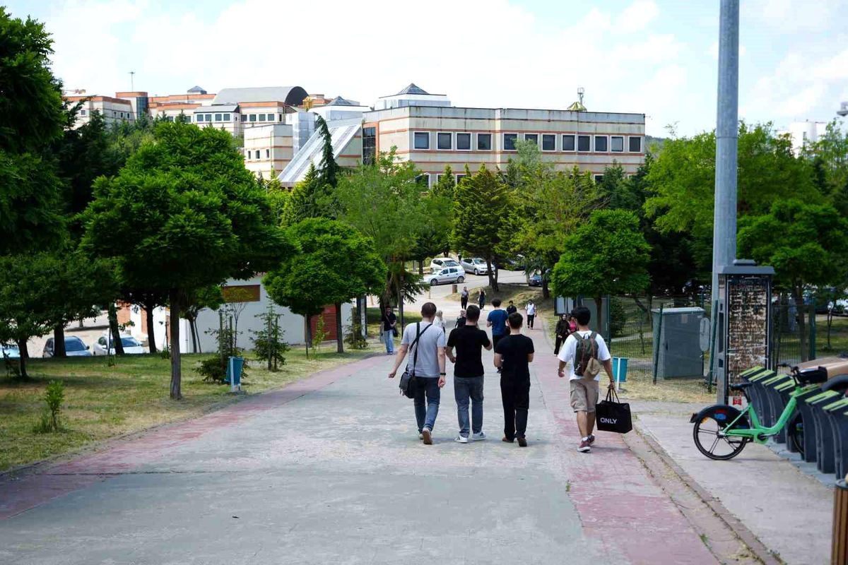 Kocaeli Üniversitesi'nde sahipsiz köpekler azaldı, öğrencilerin endişesi bitmedi