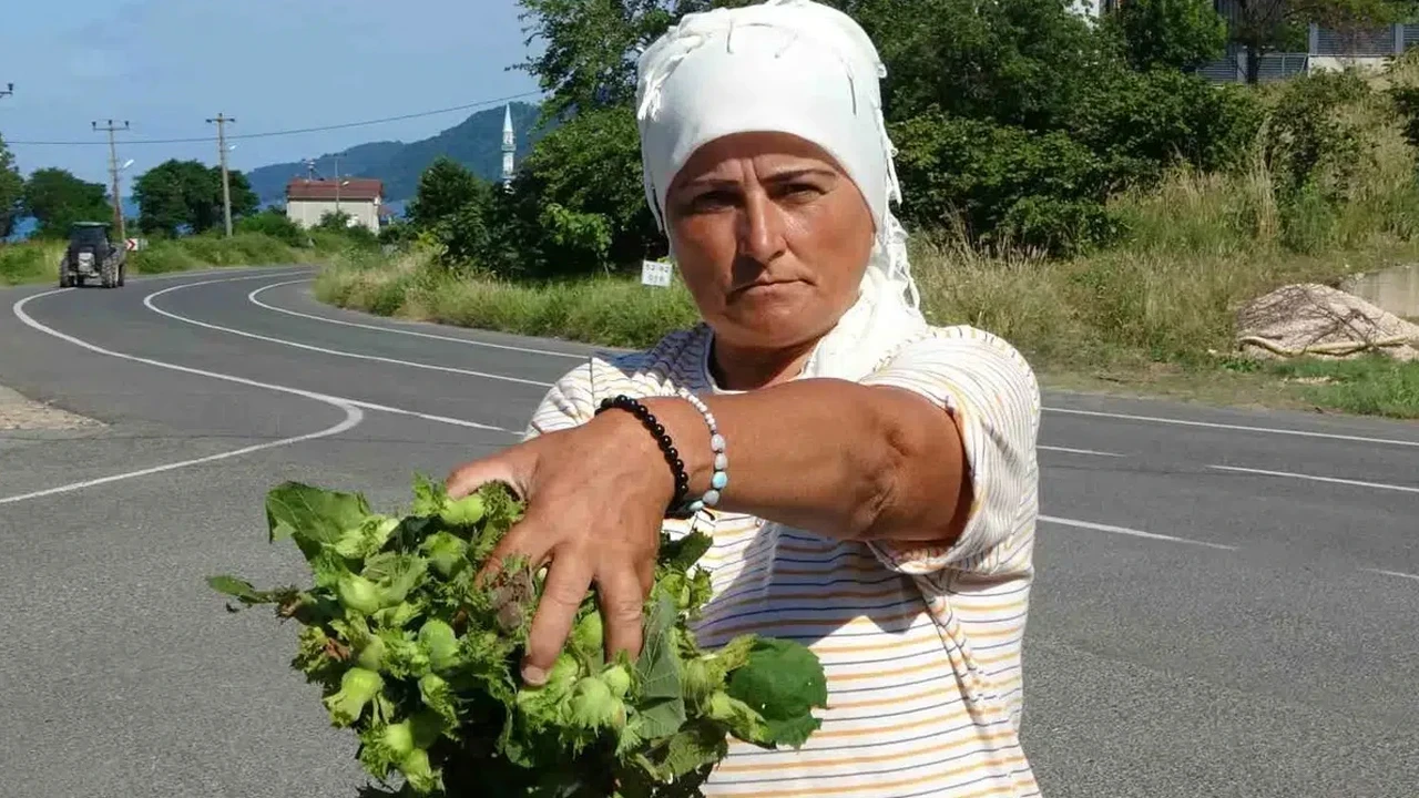 Yerli turistlerin gözdesi oldu: Kilogramı 200 TL'ye satılıyor