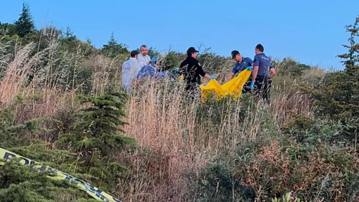 Kocaeli'de ormanlık alanda kan donduran görüntü!