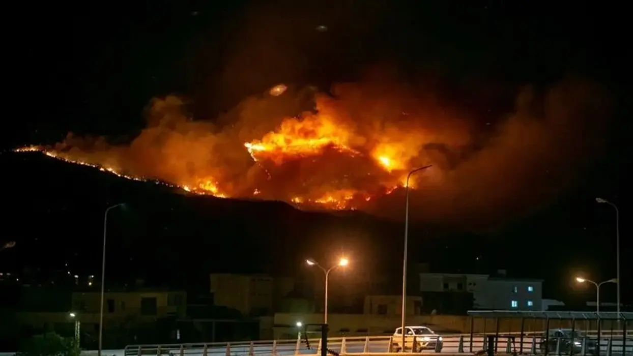 Tunus'ta yangın alarmı! 30 hektardan fazla alan küle döndü