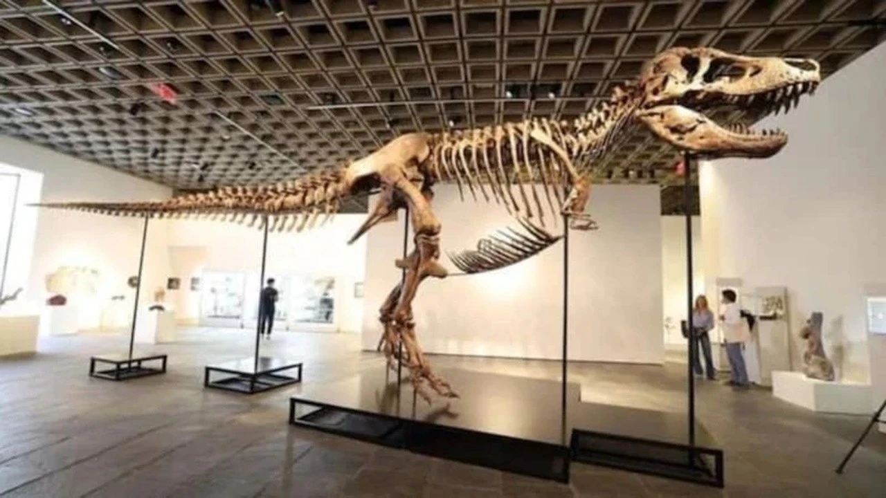 T.rex fosili dudak uçuklatan fiyata satıldı