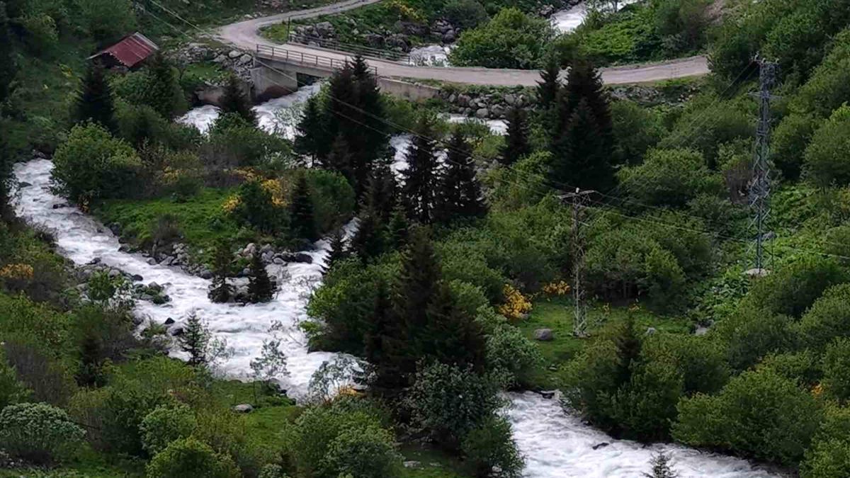 Beyaz örtü kalktı, Rize yaylaları yeşile büründü