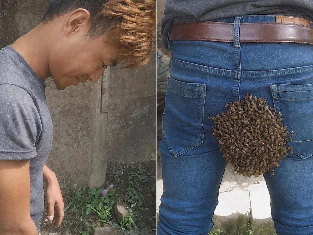 Kraliçe arı pantolonuna kondu ve olanlar oldu: Yüzlercesi toplandı