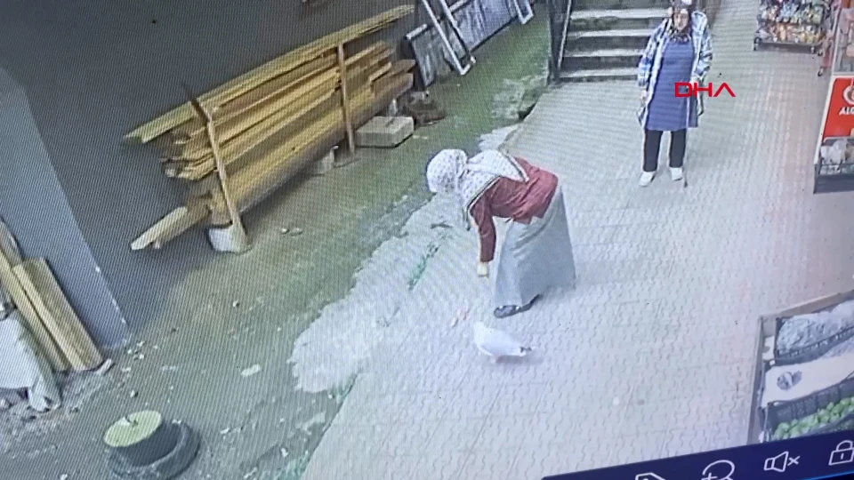Rize’de Her Gün Markete Gelen Martı Salamı Seçiyor