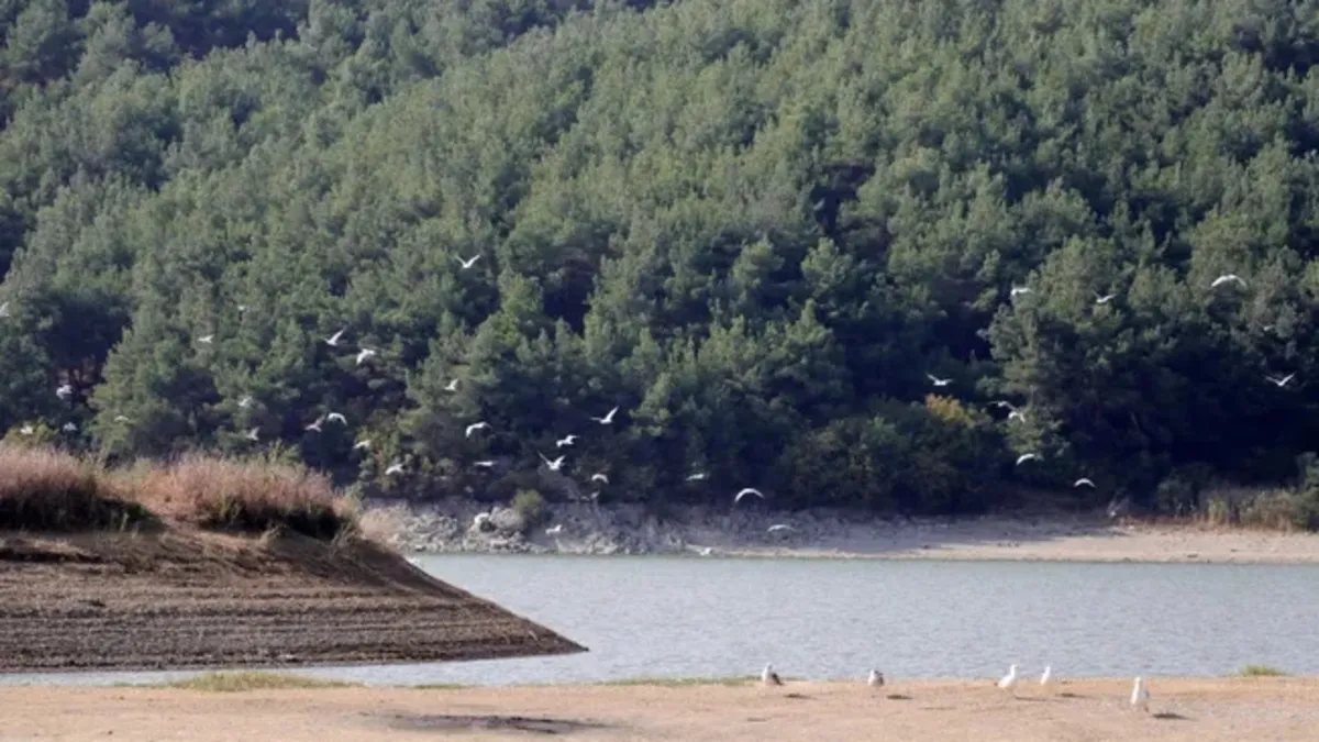 Edirne'de ormanlık alanlara giriş 15 Ekim'e kadar yasaklandı!