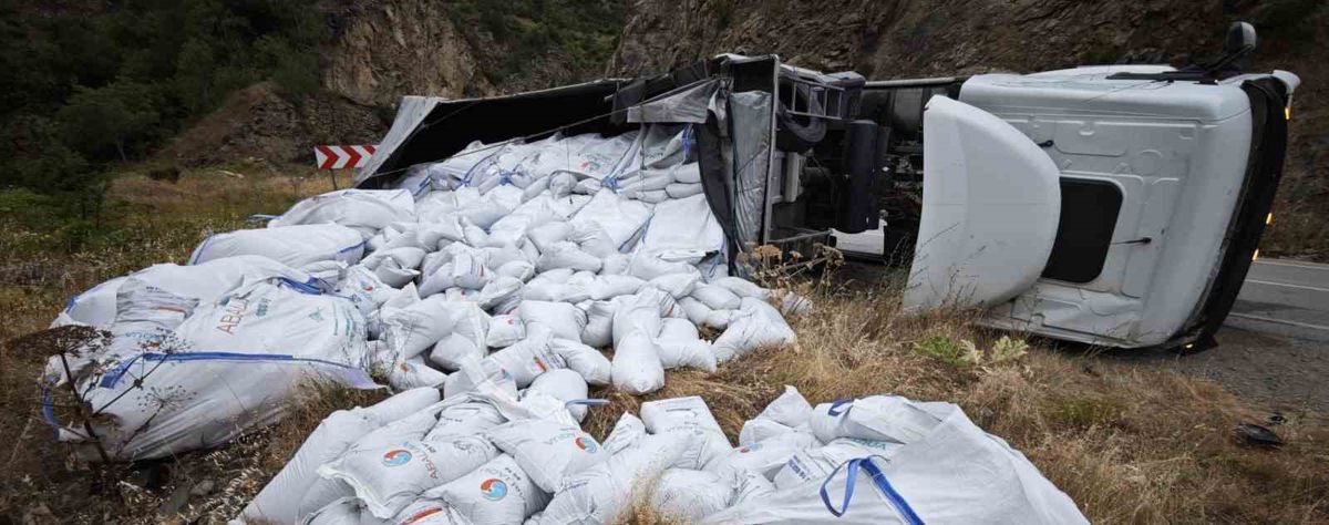 Balık yemi yüklü tır devrildi: sürücü yaralı