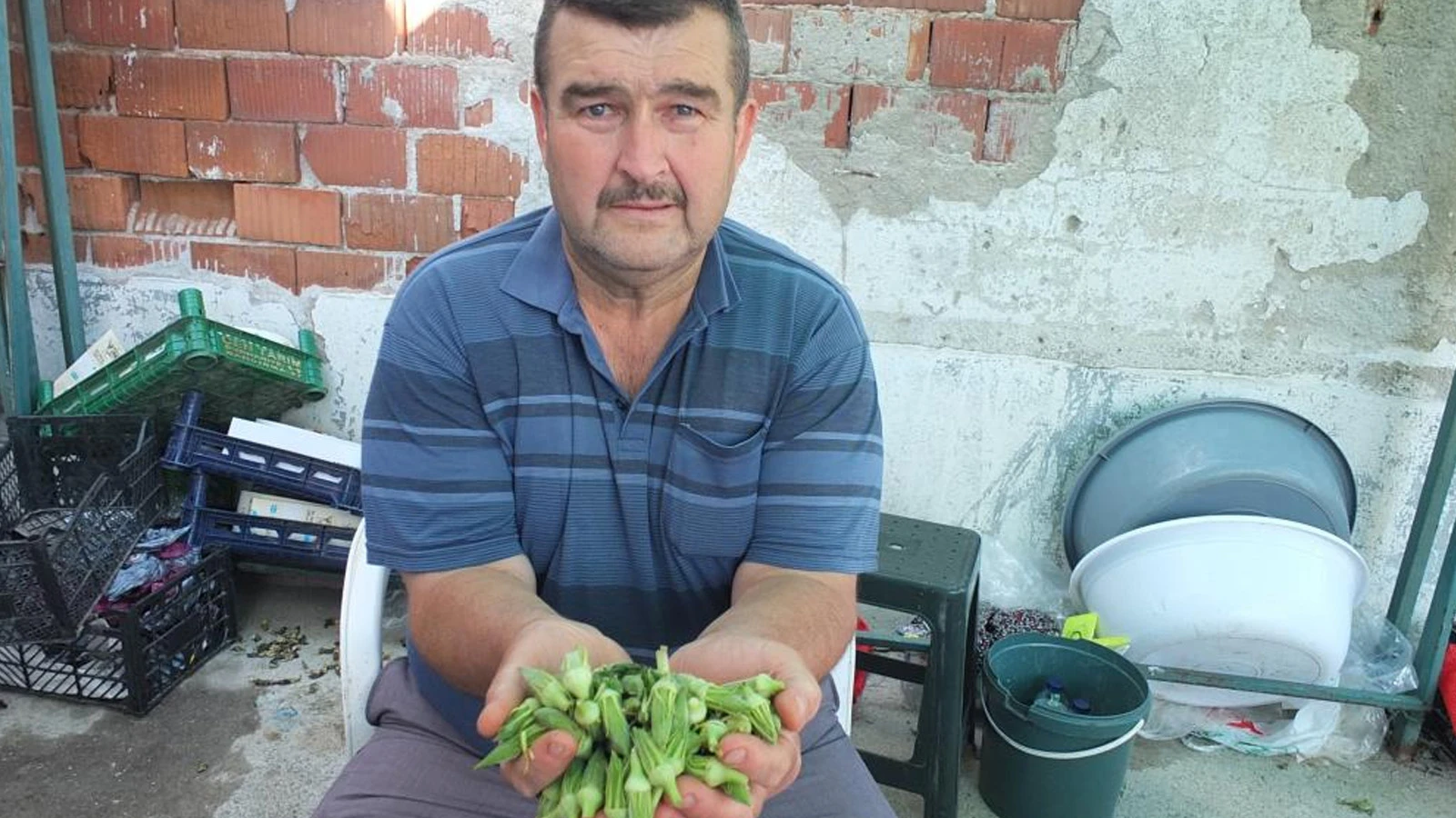 O üründe fiyatlar tavan yaptı; üreticinin yüzü güldü! "Sayesinde cebimiz para gördü"